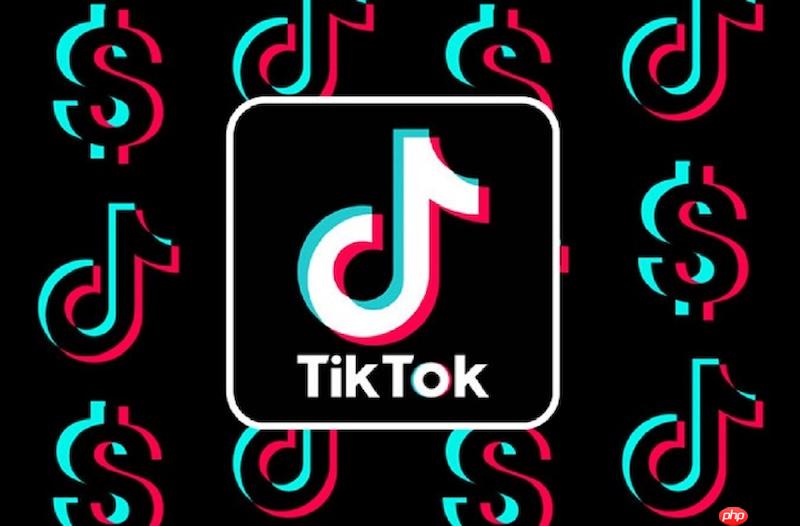 TikTok无法发布视频怎么办 视频审核失败解决方法