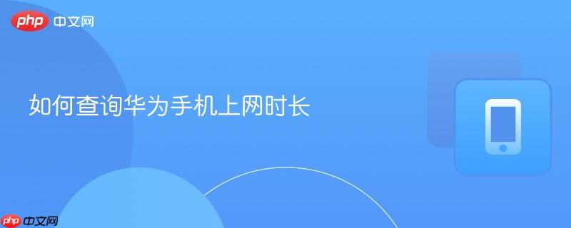 如何查询华为手机上网时长