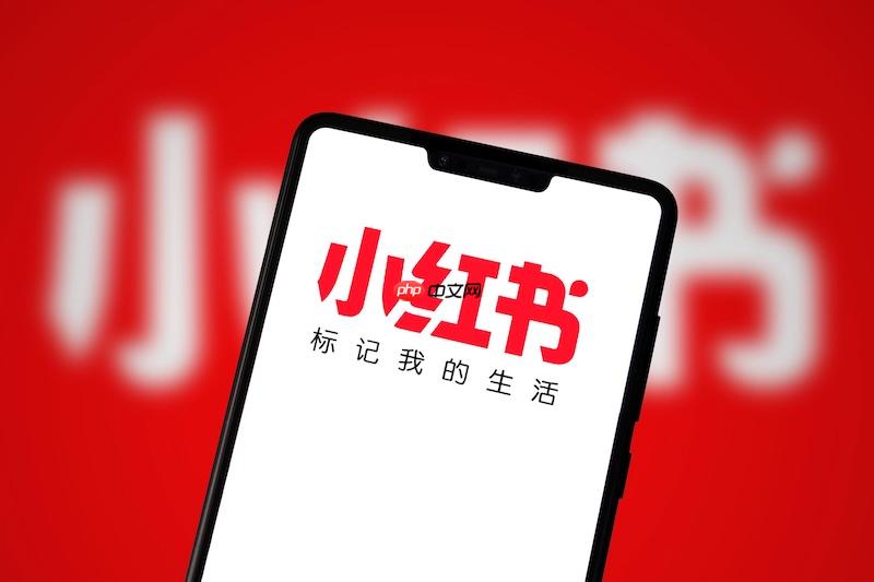 小红书账号被挤下线如何处理