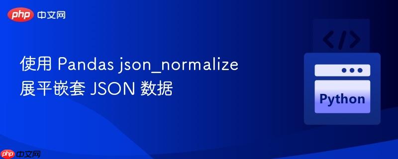 使用 Pandas json_normalize 展平嵌套 JSON 数据