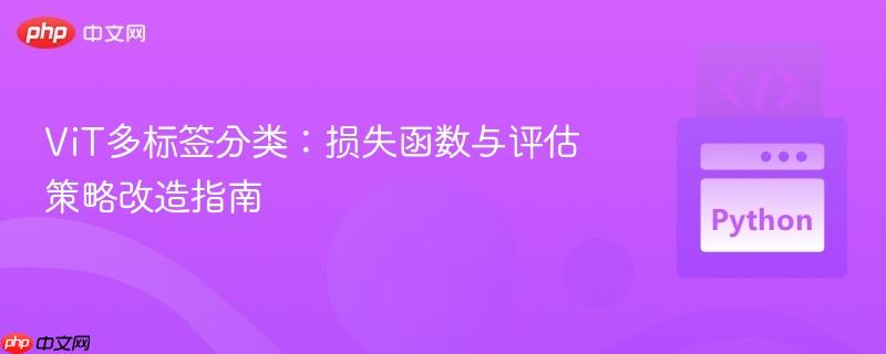 ViT多标签分类：损失函数与评估策略改造指南