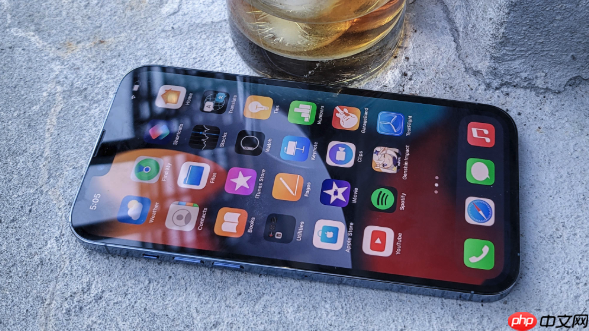 iPhone14ProMax灵动岛怎么用_iPhone14ProMax灵动岛功能使用指南