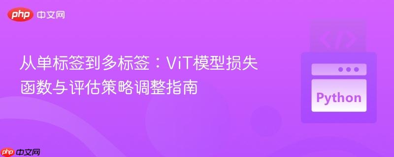从单标签到多标签：ViT模型损失函数与评估策略调整指南
