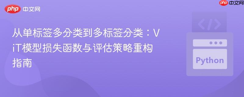 从单标签多分类到多标签分类：ViT模型损失函数与评估策略重构指南