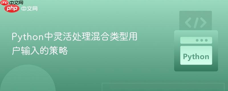 Python中灵活处理混合类型用户输入的策略