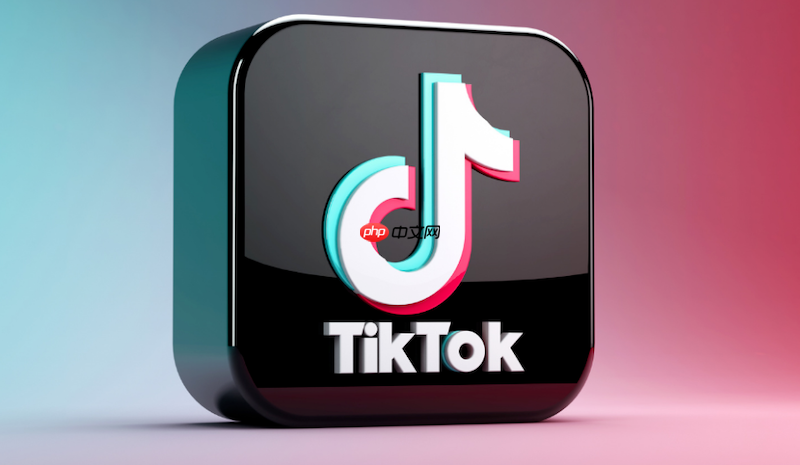 TikTok视频播放黑屏怎么办