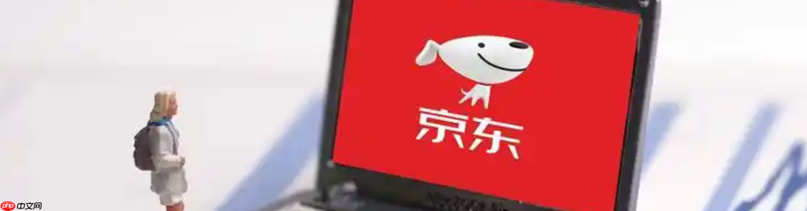 京东商家开放平台如何进入？相关术语有哪些？京东商家开放平台入驻指南：流程解析与核心术语解读！