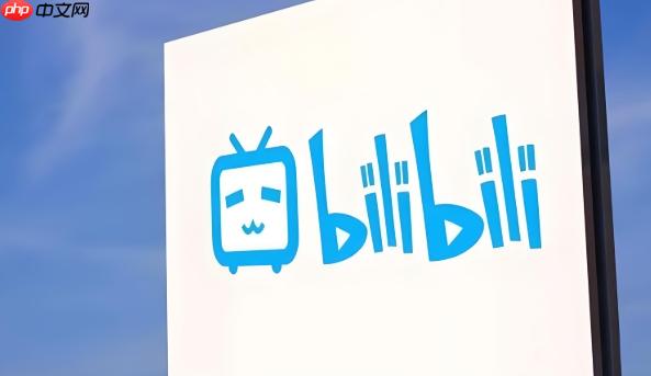 哔哩哔哩B站官网直达 bilibili主页快速访问