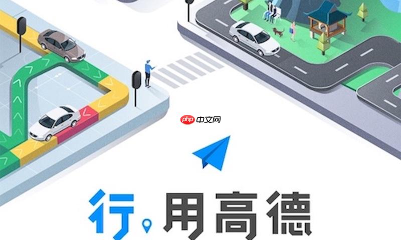 高德地图路线切换无效如何处理
