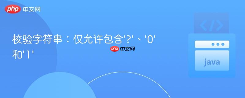 校验字符串：仅允许包含'?'、'0'和'1'