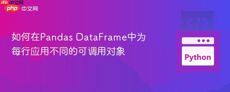 如何在Pandas DataFrame中为每行应用不同的可调用对象