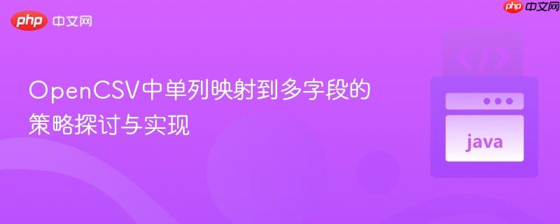 OpenCSV中单列映射到多字段的策略探讨与实现