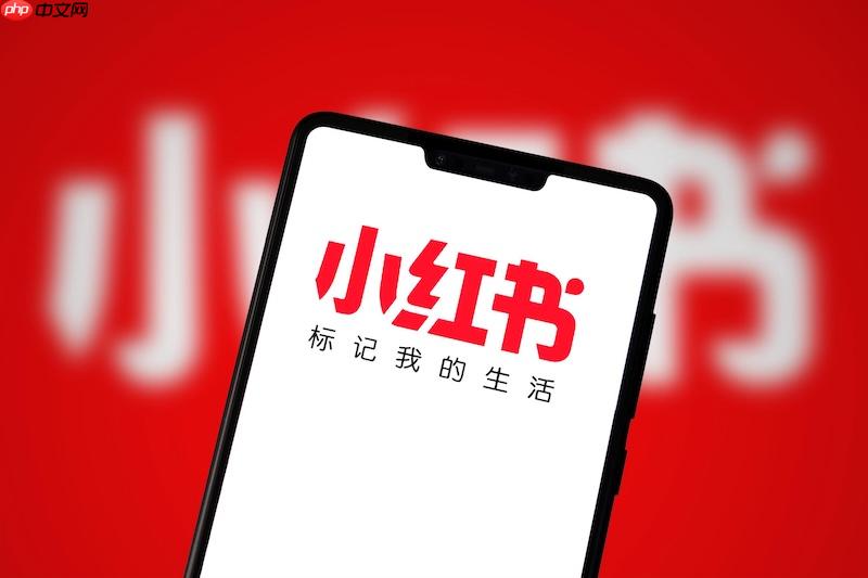 小红书网页版入口官网_小红书登录app官方入口