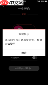 全民K歌为什么没有伴奏