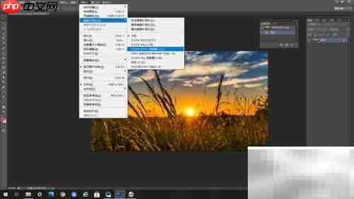 PS新尺寸：D1/DV宽银幕1.21