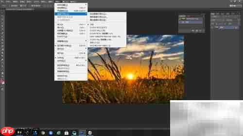 PS新尺寸：D1/DV宽银幕1.21