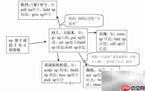 动词联想：高效记忆新法