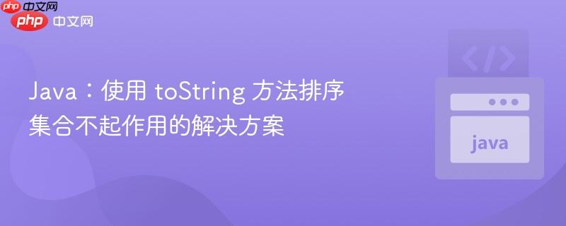 Java：使用 toString 方法排序集合不起作用的解决方案