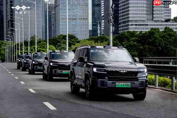 9月中国硬派越野车型销量排名：四款坦克杀入前十