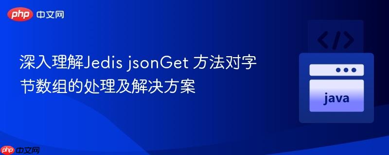 深入理解Jedis jsonGet 方法对字节数组的处理及解决方案