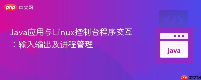 Java应用与Linux控制台程序交互：输入输出及进程管理