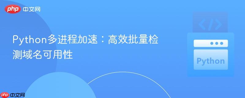 Python多进程加速：高效批量检测域名可用性
