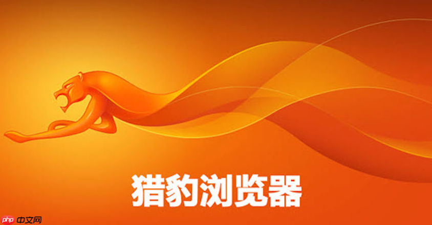 猎豹浏览器官方网址最新入口 猎豹浏览器主页直达访问官方链接