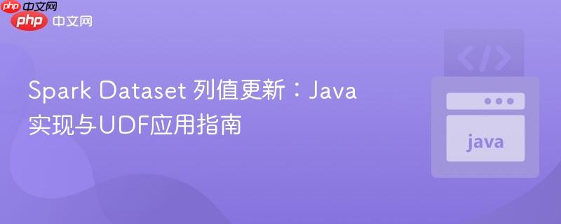 Spark Dataset 列值更新：Java 实现与UDF应用指南