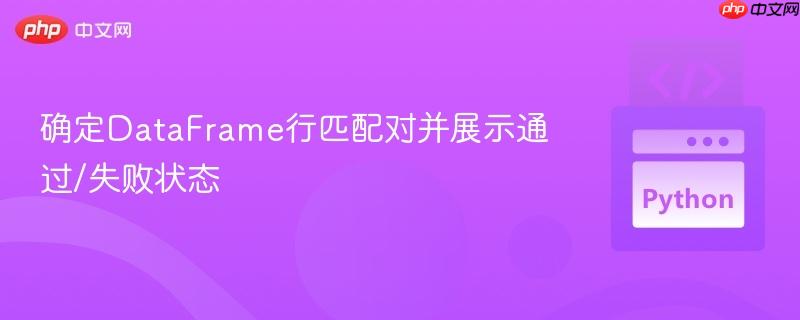 确定DataFrame行匹配对并展示通过/失败状态