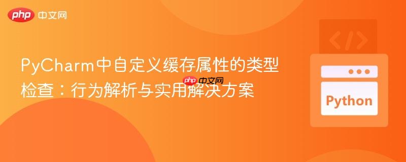 PyCharm中自定义缓存属性的类型检查：行为解析与实用解决方案