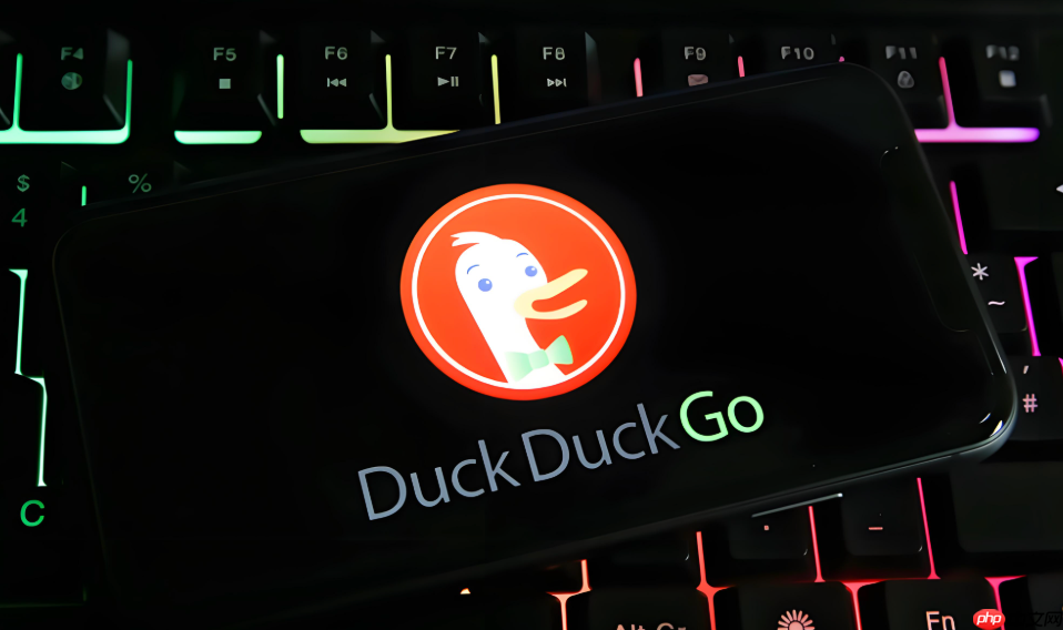 duckduckgo浏览器怎么禁用预加载网页_DuckDuckGo网页预加载关闭方法