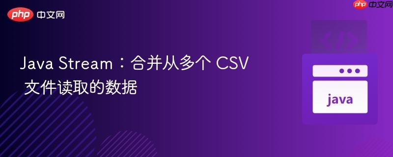 Java Stream：合并从多个 CSV 文件读取的数据
