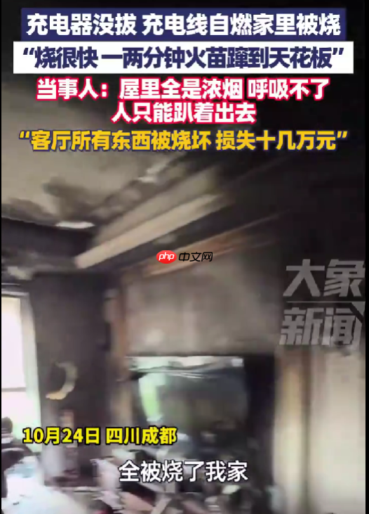 充电器没拔家被烧 电视被烧爆 当事人：损失十几万