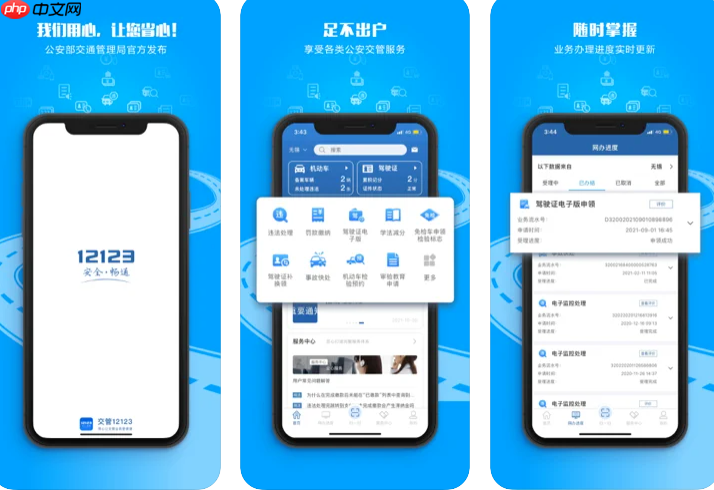 交管12123处理非本人车辆违章怎么办_交管12123处理非本人车辆违章攻略