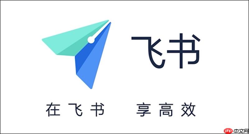 飞书聊天表情无法发送怎么办 飞书表情包加载与修复技巧