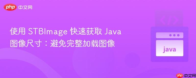 使用 STBImage 快速获取 Java 图像尺寸：避免完整加载图像