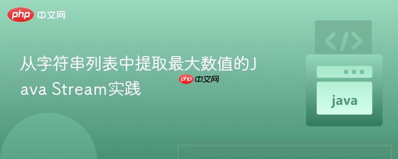 从字符串列表中提取最大数值的Java Stream实践