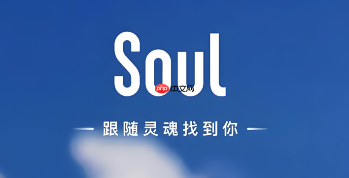 soul的官方表情包商店在哪里_Soul表情包商店位置