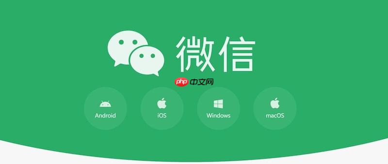 微信如何查看公众号文章_微信文章查看的阅读模式