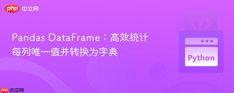 Pandas DataFrame：高效统计每列唯一值并转换为字典
