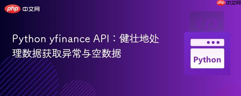 Python yfinance API：健壮地处理数据获取异常与空数据