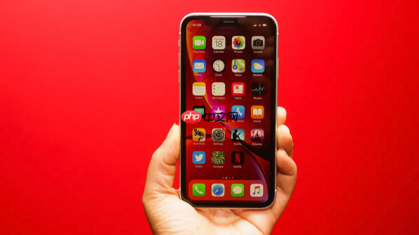 苹果12 Pro Max如何限制后台网络使用