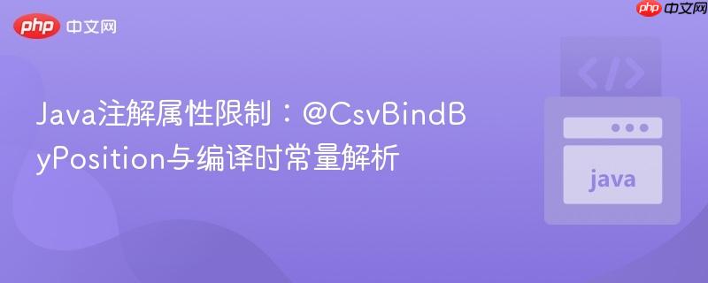 Java注解属性限制：@CsvBindByPosition与编译时常量解析