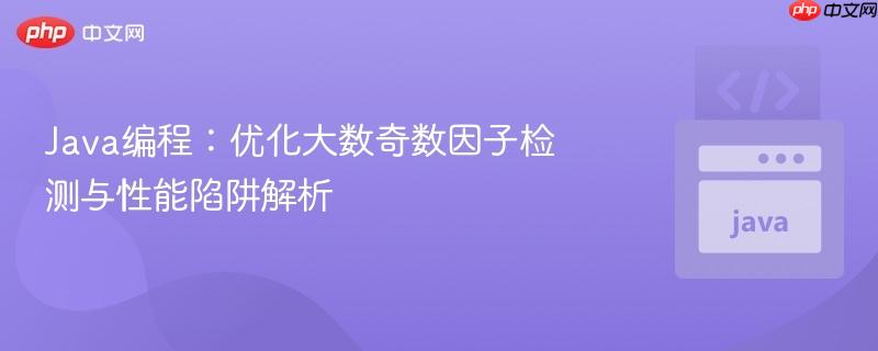 Java编程：优化大数奇数因子检测与性能陷阱解析