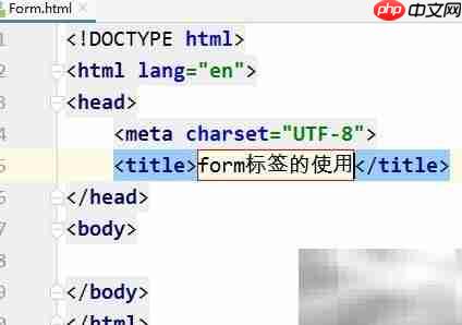 HTML表单标签使用指南
