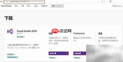 安装VS2019：详细步骤指南