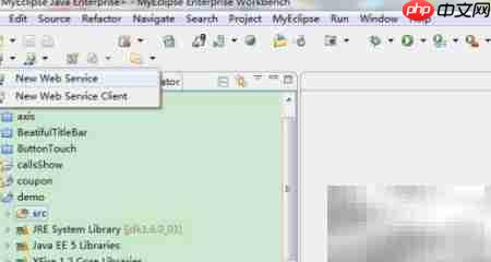 Web服务搭建指南