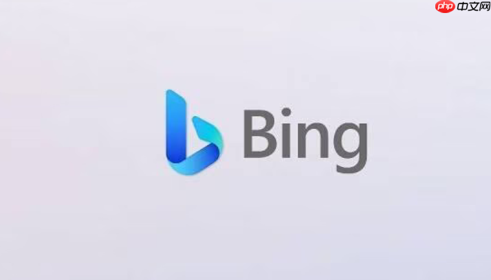 bing网页版入口 bing官方网页版登录访问通道