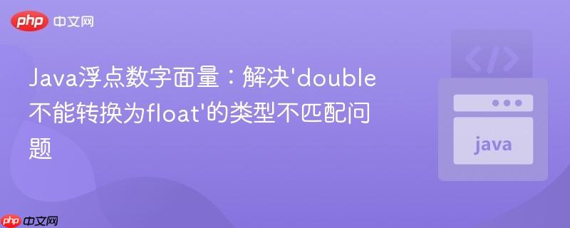 Java浮点数字面量：解决‘double不能转换为float’的类型不匹配问题