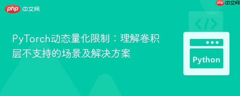 PyTorch动态量化限制：理解卷积层不支持的场景及解决方案